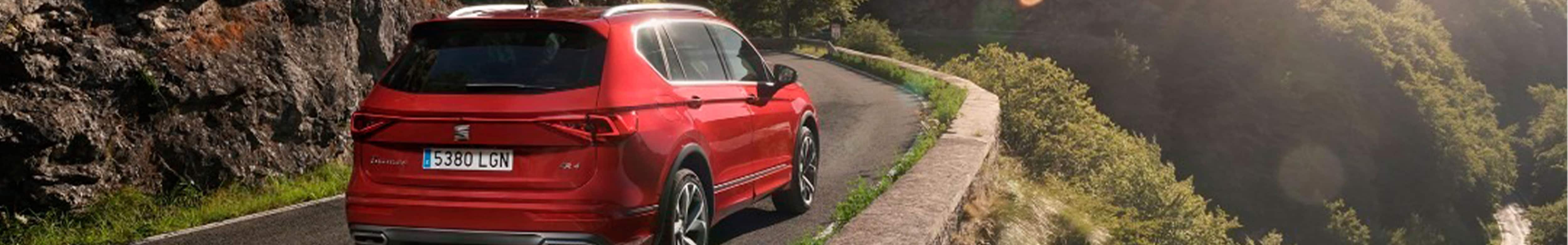 Países en los que puedes conducir con el carnet español