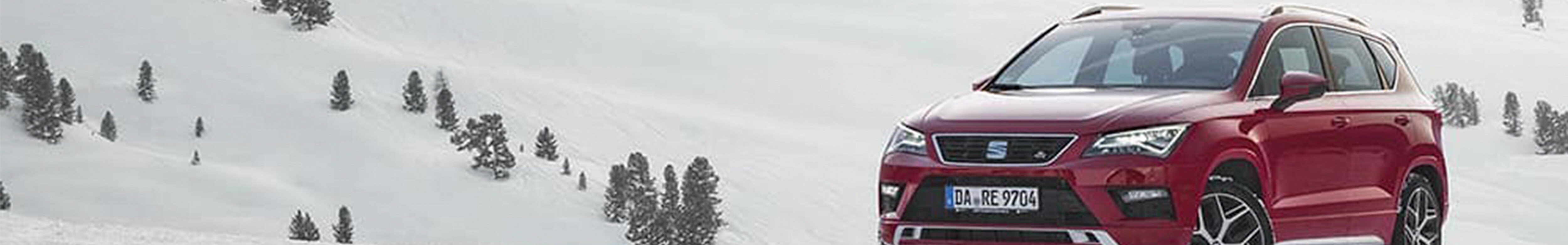 Las multas más habituales en invierno