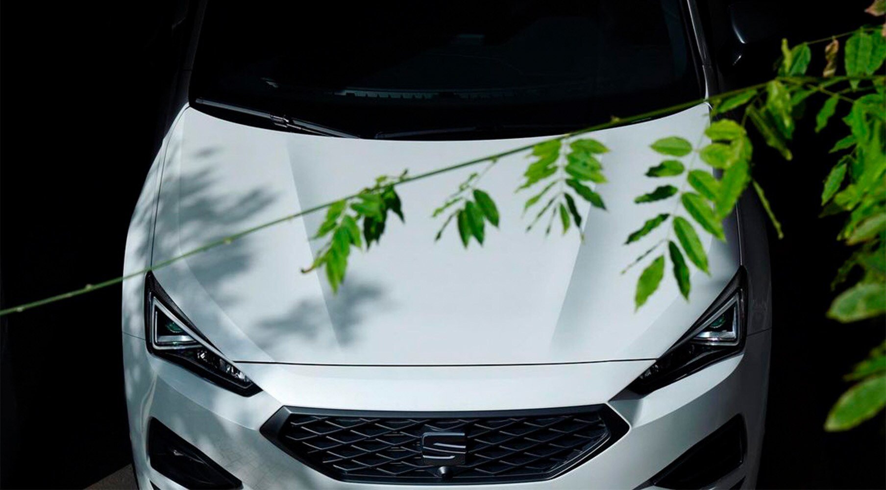  La importancia de cambiar las escobillas del limpiaparabrisas